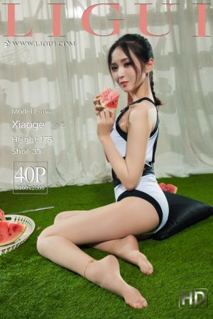 [Ligui 丽 柜] Leg Model Xiao Ge-Baisi Watermelon Girl Photo Album