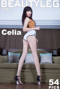 Xin Jie Celia “Meat stockings high heel legs” [beautyleg] no.1701 photo set
