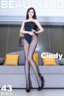 [Beautyleg] No.2093 Cindy leg stockings set