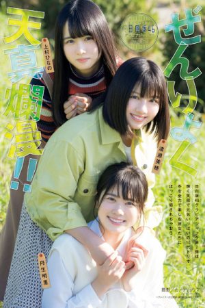 渡邉美穂, 丹生明里, 上村ひなの, Young Magazine Gekkan 2020 No.01 (月刊ヤングマガジン 2020年01号)