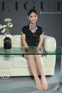 Leg model Zhao Vila “flight attendant silk foot” [柜 ligui] photo collection