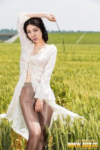 Meixin’s “Riders in the Wheat Field” [AISS] F5019 Photo Album