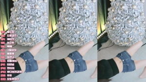 kbj25042149_so2so2so_20250203 – so2so2so