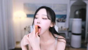 kbj25060754_bada0629_20250317 – bada0629